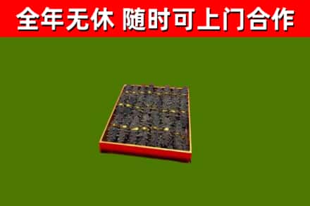师宗回收海参